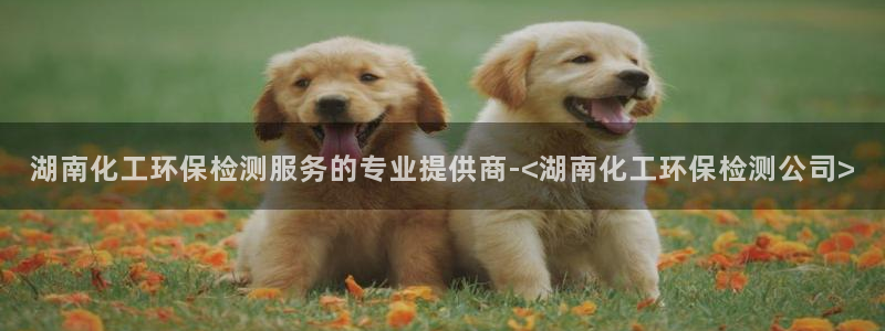 亿万国际游戏官网：湖南化工环保检测服务的专业提供商-<湖南化工环保检测公司>