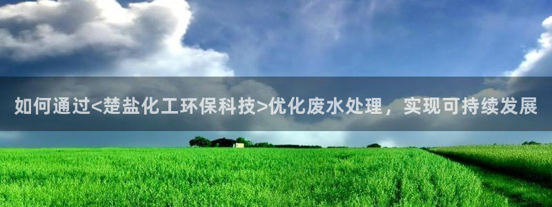 亿万先生 菲律宾：如何通过<楚盐化工环保科技>优化废水处理，实现可持续发展