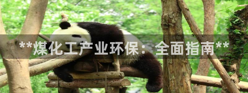 亿万app下载：**煤化工产业环保：全面指南**