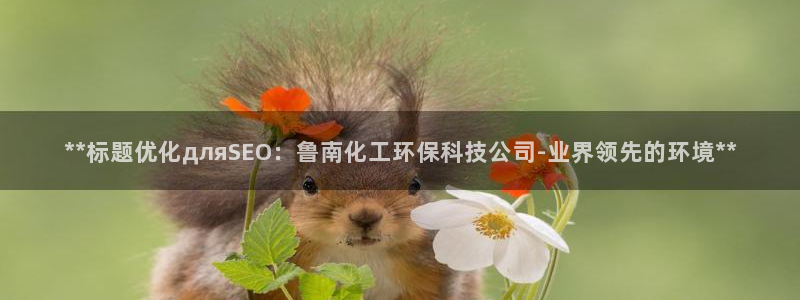 亿万先生：**标题优化дляSEO：鲁南化工环保科技公司-业界领先的环境**