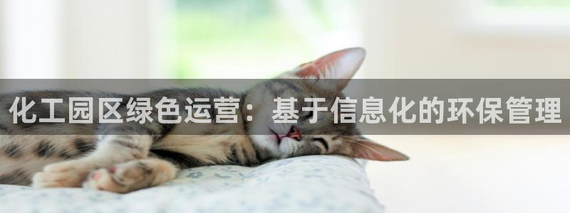 亿万先生mr：化工园区绿色运营：基于信息化的环保管理