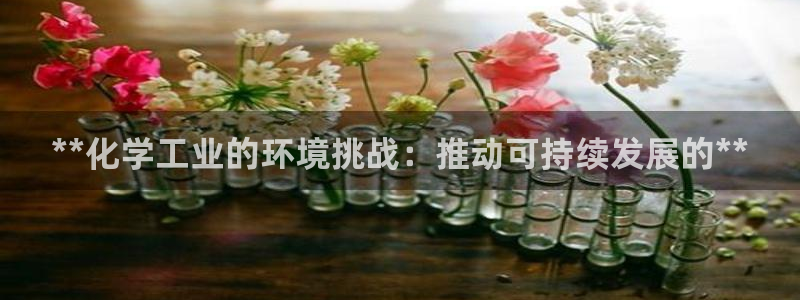 亿万先生客户端官网登录不了：**化学工业的环境挑战：推动可持续发展的**