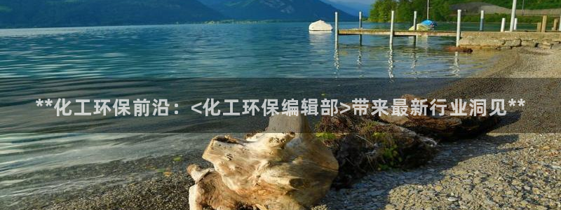 亿万笞人：**化工环保前沿：<化工环保编辑部>带来最新行业洞见**