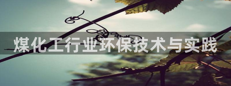 亿万首富手游兑换码：煤化工行业环保技术与实践
