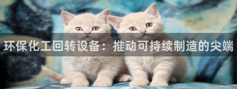 亿万先生换网址了吗：环保化工回转设备：推动可持续制造的尖端