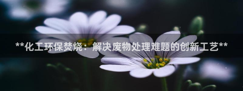 亿万官网：**化工环保焚烧：解决废物处理难题的创新工艺**