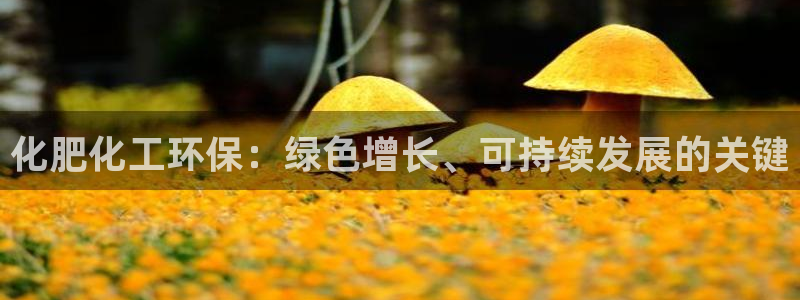 mr8001亿万先生：化肥化工环保：绿色增长、可持续发展的关键