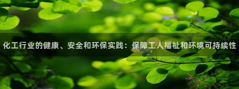 亿万先生合并：化工行业的健康、安全和环保实践：保障工人福祉和环境可持续性