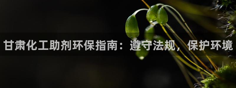 亿万百度百科：甘肃化工助剂环保指南：遵守法规，保护环境