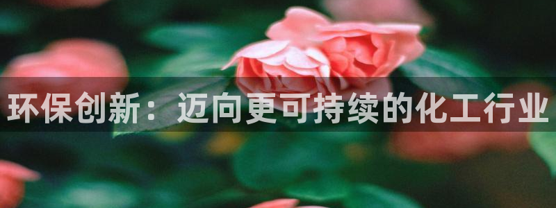 亿万先生007网页登录不了：环保创新：迈向更可持续的化工行业