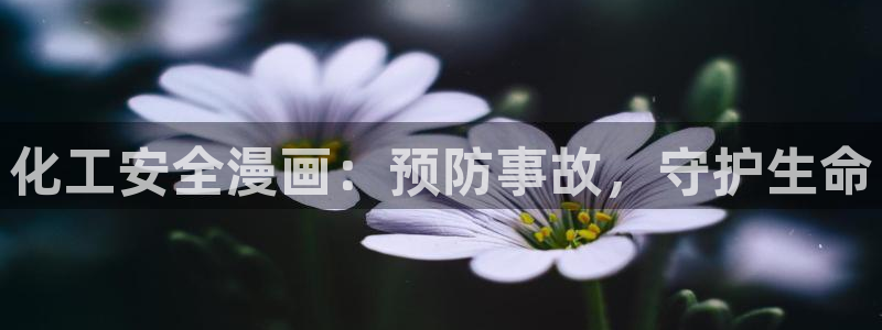 亿万先生网址生：化工安全漫画：预防事故，守护生命