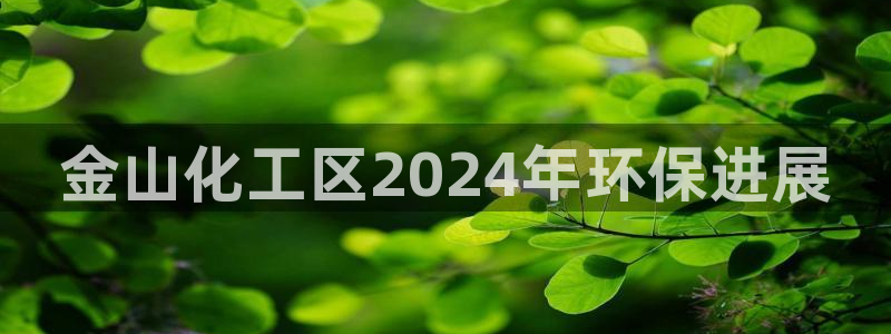 亿万先生下载客户端：金山化工区2024年环保进展
