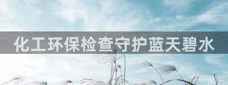 亿万先生情侣车有什么用：化工环保检查守护蓝天碧水