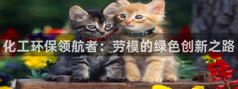 亿万百度百科：化工环保领航者：劳模的绿色创新之路