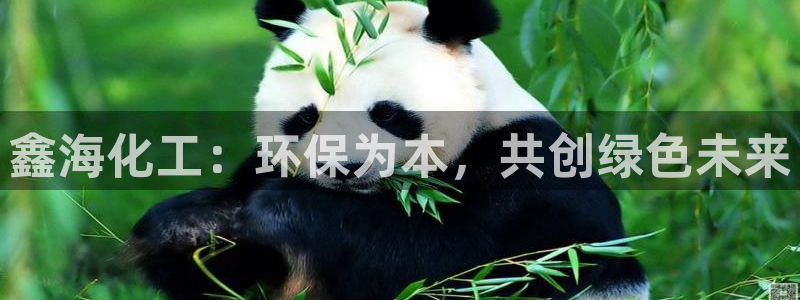 亿万先生网页在线客服：鑫海化工：环保为本，共创绿色未来