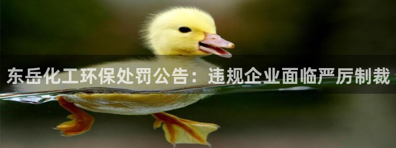 亿万国际游戏官网手机版：东岳化工环保处罚公告：违规企业面临严厉制裁