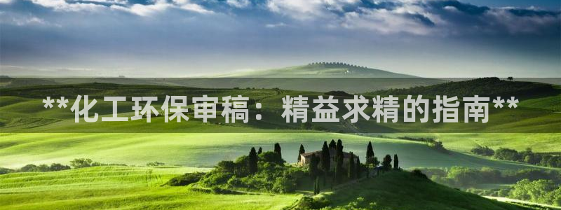亿万先生手机版入口在哪看：**化工环保审稿：精益求精的指南**