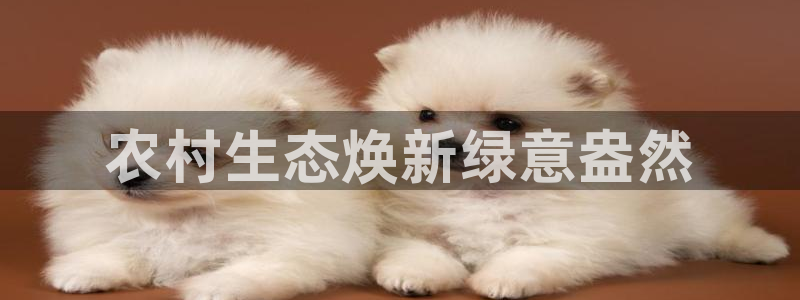 亿万先生官方网站下载安装：农村生态焕新绿意盎然