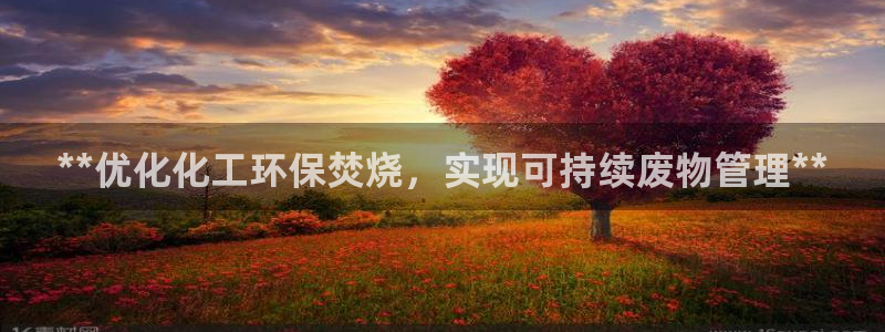 亿万网友在线实时为您解答问题：**优化化工环保焚烧，实现可持续废物管理**
