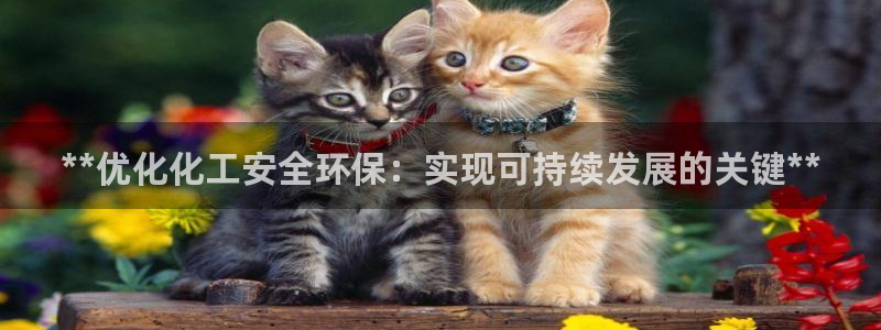 亿万贴吧：**优化化工安全环保：实现可持续发展的关键**