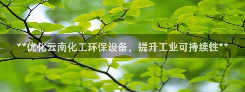 亿万第一季百科：**优化云南化工环保设备，提升工业可持续性**