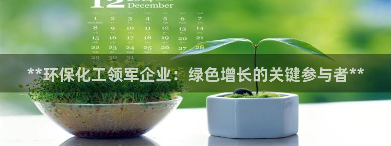 亿万先生mr014：**环保化工领军企业：绿色增长的关键参与者**