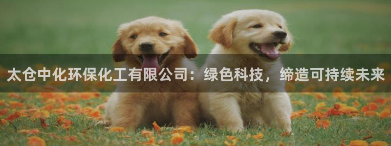 亿万先生是男是女：太仓中化环保化工有限公司：绿色科技，缔造可持续未来