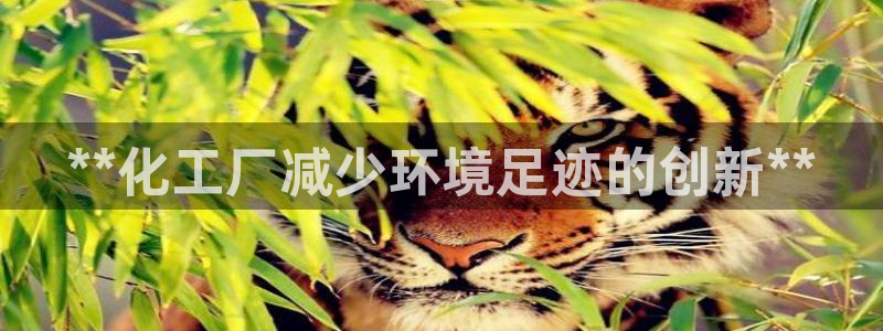 mr8001亿万先生：**化工厂减少环境足迹的创新**