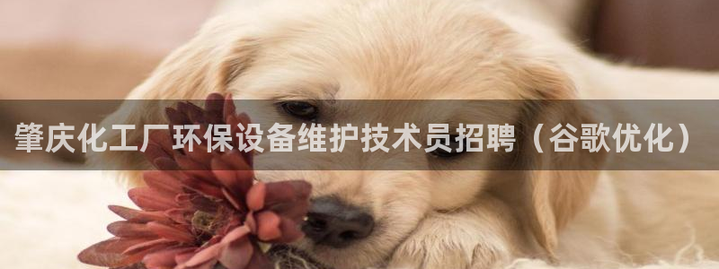 亿万先生换网址了吗：肇庆化工厂环保设备维护技术员招聘（谷歌优化）