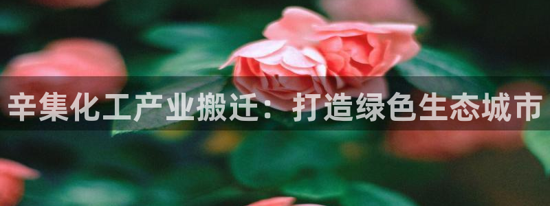 亿万同人字幕组的个人主页：辛集化工产业搬迁：打造绿色生态城市