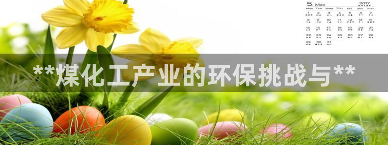 亿万解析：**煤化工产业的环保挑战与**