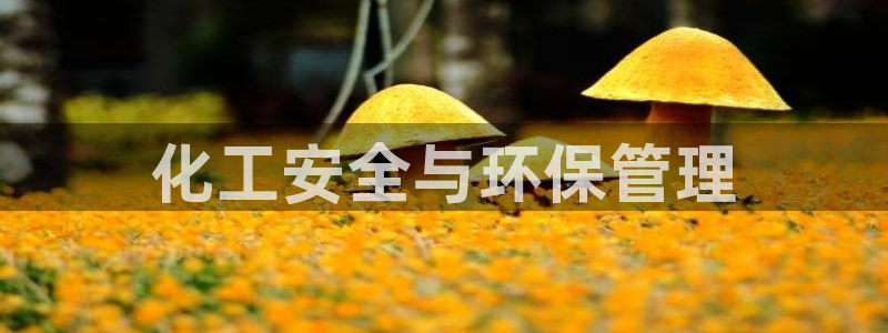 亿万首富游戏破解版无限钻石：化工安全与环保管理