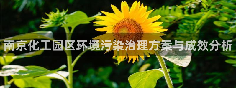亿万先生游戏：南京化工园区环境污染治理方案与成效分析