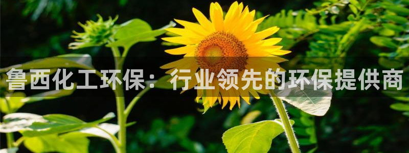 亿万先生客户端下载安装：鲁西化工环保：行业领先的环保提供商
