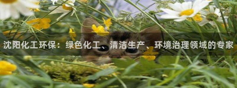 亿万先生客户端下载：沈阳化工环保：绿色化工、清洁生产、环境治理领域的专家