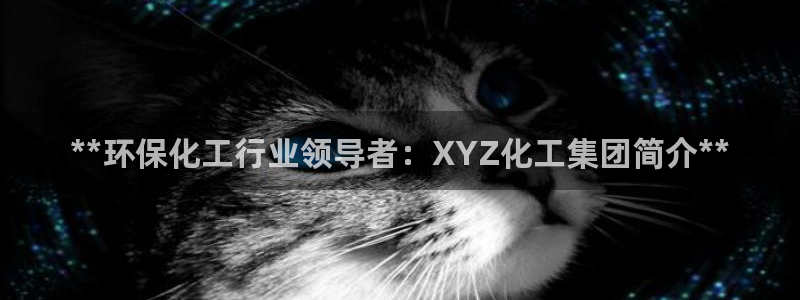 亿万先生充电桩：**环保化工行业领导者：XYZ化工集团简介**