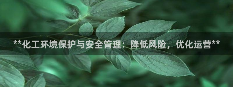 亿万先生换网址了吗知乎：**化工环境保护与安全管理：降低风险，优化运营**