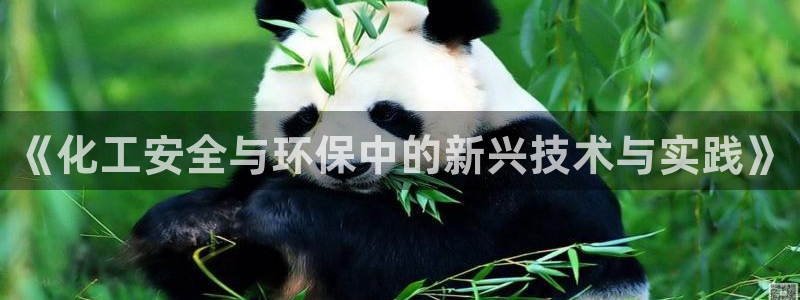 亿万先生官方网站客户端下载安装最新版：《化工安全与环保中的新兴技术与实践》