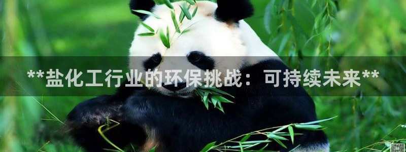 亿万首富游戏破解版无限钻石：**盐化工行业的环保挑战：可持续未来**