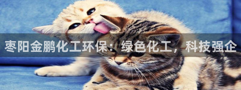 亿万先生mr008：枣阳金鹏化工环保：绿色化工，科技强企