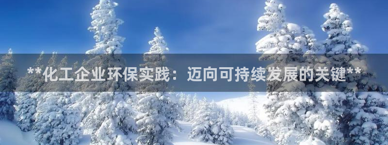 电影 亿万：**化工企业环保实践：迈向可持续发展的关键**
