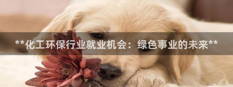 亿万官网字幕组官网下载：**化工环保行业就业机会：绿色事业的未来**