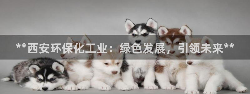 亿万先生mr014：**西安环保化工业：绿色发展，引领未来**