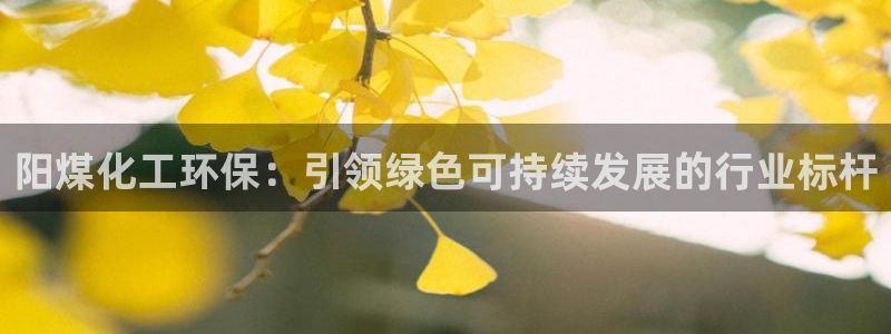 亿万先生007网页登录：阳煤化工环保：引领绿色可持续发展的行业标杆