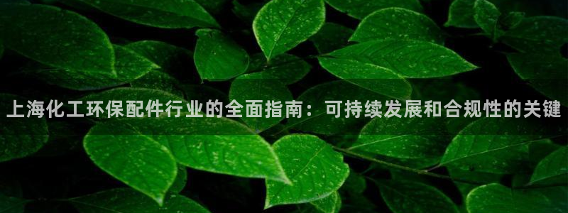 亿万剪辑：上海化工环保配件行业的全面指南：可持续发展和合规性的关键