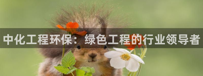 亿万先生客户端下载安装：中化工程环保：绿色工程的行业领导者