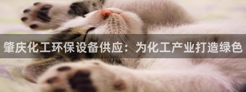 亿万万作者：肇庆化工环保设备供应：为化工产业打造绿色