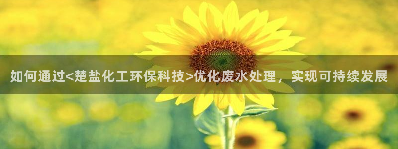 亿万国际游戏官网手机版：如何通过<楚盐化工环保科技>优化废水处理，实现可持续发展