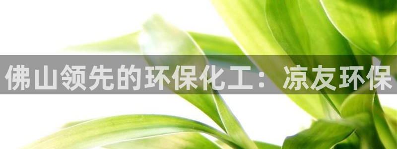 亿万官网字幕：佛山领先的环保化工：凉友环保