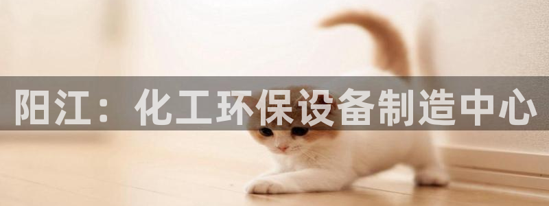 亿万财富网：阳江：化工环保设备制造中心